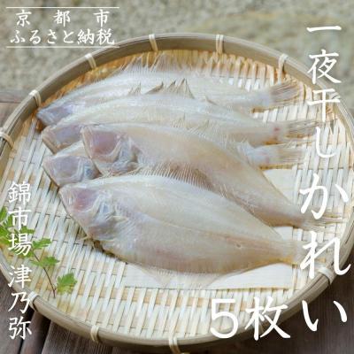 ふるさと納税 京都市 【津乃弥】一夜干しかれいセット(5枚)