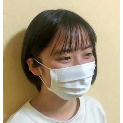 ふるさと納税 長浜市 【浜ちりめん】シルク100%マスク無漂白シルク:中サイズ |  | 01