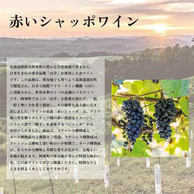 ふるさと納税 釧路市 赤いシャッポワイン1本 赤いシャッポワイン樽熟成1本 セット 赤ワイン 北海道産 F4F-3871 |  | 01