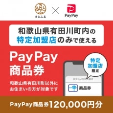 和歌山県有田川町　PayPay商品券(120,000円分)※地域内の一部の加盟店のみで利用可