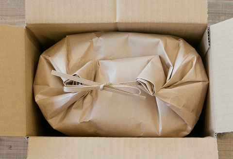 北海道米ななつぼし5kg×2袋[10月下旬以降発送] B-65021