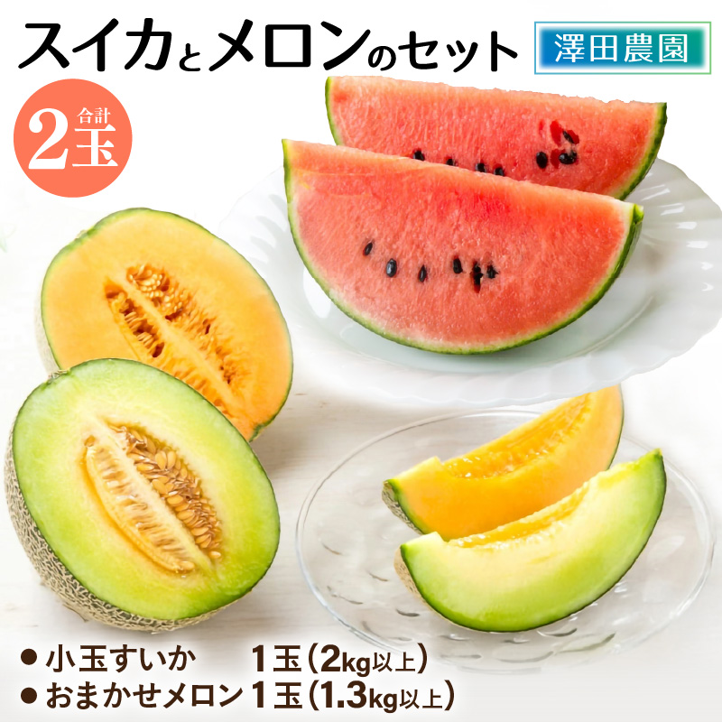 【先行予約】日を分けて2度楽しめる！小玉すいか・おすすめメロン 2種セット(2玉入)  / 期間限定 果物 フルーツ 産地直送 青肉 赤肉 スイカ 小玉スイカ 人気 ※2027年6月下旬より順次発送 [aw039-a020]