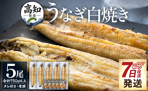 高知県産うなぎの白焼き 5尾 合計750g以上（1尾150～180g）タレ付き エコ包装 - 鰻 ウナギ 内祝い 美味しい おいしい おとりよせ お取り寄せ グルメ 晩酌 yw-0117