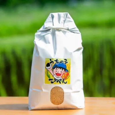 【栽培期間中農薬・化学肥料不使用】能勢町産 ブランド米「うちの子てっぺん」 玄米 10kg | 大阪府 能勢町 送料無料