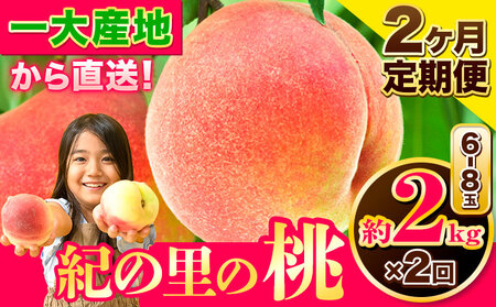 桃 定期便 紀の里の桃 約2kg(6-8玉入り)2回お届け(先行予約)《6月中旬-8月中旬頃出荷》 桃桃桃