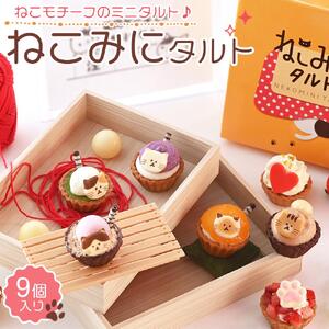 ねこみにタルト 9個入り＜フレッシュタルトのお店STYLE＞