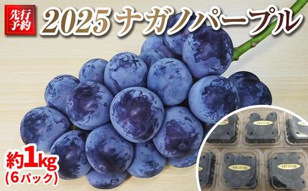【先行予約】A 2026 P ナガノパープル粒どり6パック 約1kg弱 (2026年9月下旬頃～順次発送予定）長野県産  国際特許有機肥料栽培｜ぶどう ぶどう ぶどう ぶどう ぶどう ぶどう