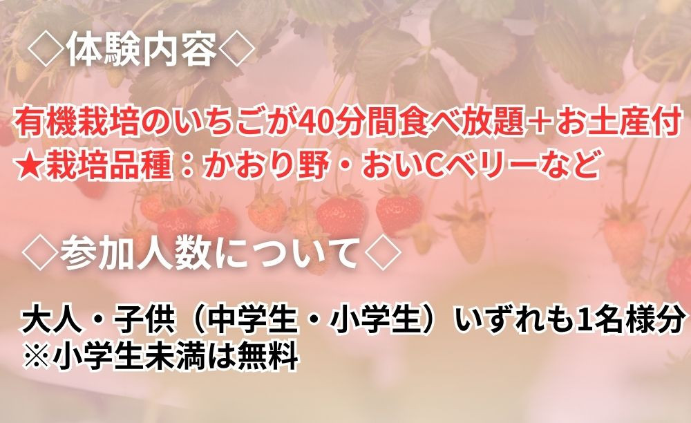 【オーガニックnico】有機栽培のいちご狩り1名分(2026年3月～4月開催)｜京都 大原野 いちご 食べ放題 人気 おすすめ [ 有機いちご 40分いちご狩り＋お土産付き 幼児は無料 人気 おすすめ