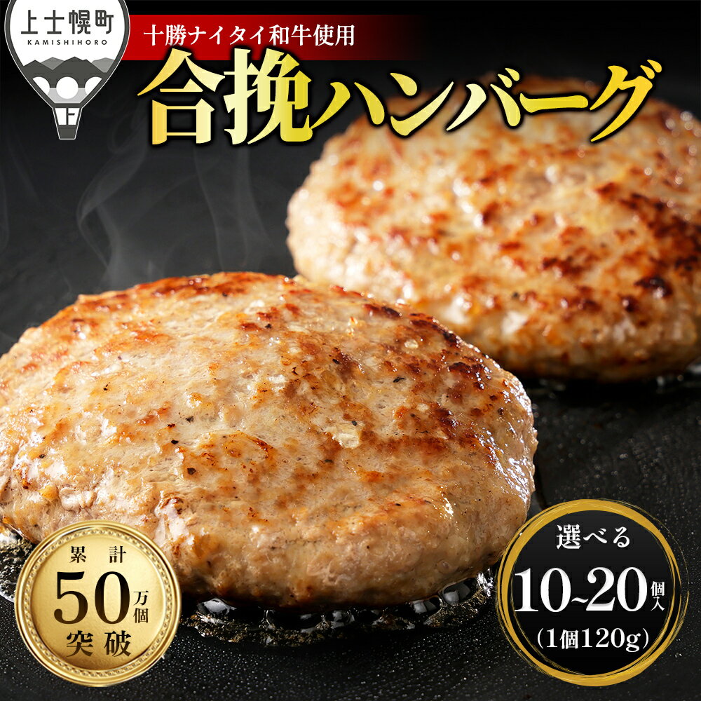 【ふるさと納税】十勝ナイタイ和牛 ビーフ&ポーク ハンバーグ 120g×10～20個 高評価ハンバーグ 国産 北海道 牛 豚 肉 牛肉 豚肉 国産牛 国産豚 和牛 5・4等級 黒毛和牛 合い挽き 合挽 人気 お取り寄せ ギフト 冷凍ハンバーグ レビューキャンペーン対象品