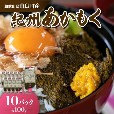 ふるさと納税 由良町 紀州あかもく(由良町産)100g×10パック (2026年産)