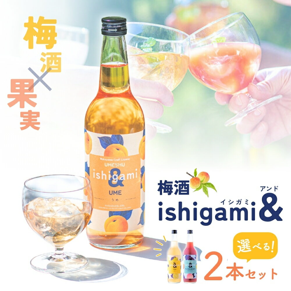 【ふるさと納税】梅酒ishigami&（イシガミアンド）600ml 選べる2本セット / 和歌山 田辺市 梅干し 梅干 梅 うめ 酒 フルーツ 飲み比べ ギフト 贈答品