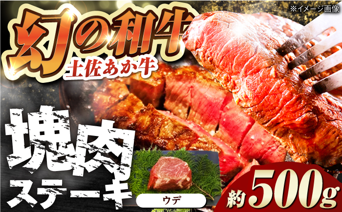 
            土佐あかうし 塊肉ステーキ 約500g（うで）【株式会社Dorago】 [ATAM047]
          