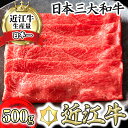 【ふるさと納税】近江牛 4等級以上 カネ吉山本近江牛すきやき用[上]　【500g】（ロース、モモ、肩ロース等）ブランド牛 日本三大和牛 すきやき用 500g 牛肉 牛 A4/A5 すき焼き 赤身 冷凍 国産 送料無料 すき焼き肉