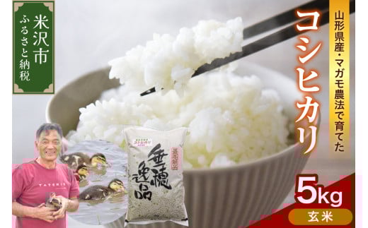 【 令和7年産 】コシヒカリ 5kg《玄米》 有機肥料100% 栽培期間中 農薬不使用 2025年産 農家直送