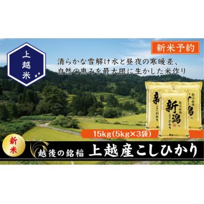 ふるさと納税 上越市 【令和7年産新米】食味鑑定士厳選　新潟県上越市産こしひかり　合計15kg