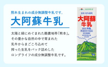 【12ヶ月定期便】大阿蘇牛乳 1L×6本×12ヶ月 合計72L 紙パック 牛乳 成分無調整牛乳 常温保存可能