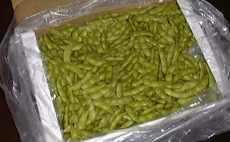 【7月中旬～8月上旬お届け】枝豆 黒埼茶豆 1.5㎏ 枝豆