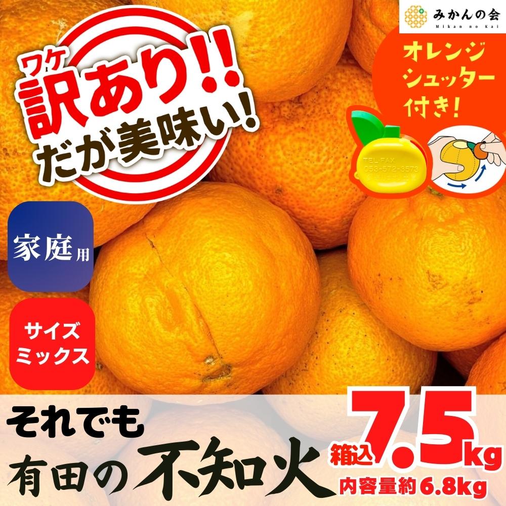 【ふるさと納税】不知火 訳あり それでも 有田の不知火 箱込 7.5kg(内容量約 6.8kg) サイズミックス 和歌山県産 産地直送［みかんの会］ | みかん 不知火 和歌山 和歌山県産 有田 旬 フルーツ 産地直送 柑橘 有田川町 ふるさと納税 返礼品 故郷納税