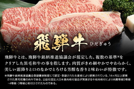 【冷蔵配送】A4・A5飛騨牛サーロインステーキ【250g×2】