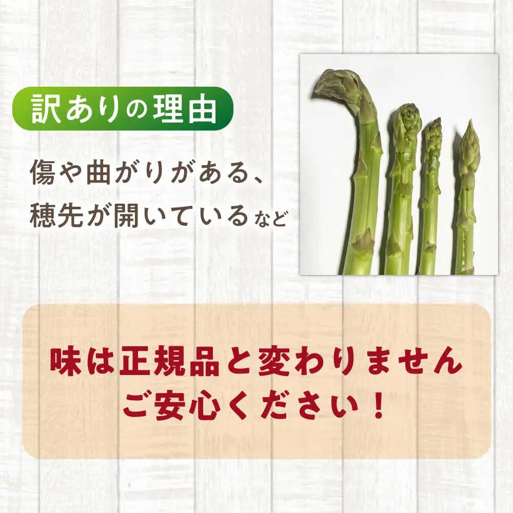 【訳あり】 壱岐産 訳アリ アスパラ 1kg  [JGZ001] アスパラ