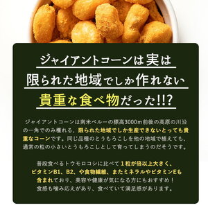 おつまみジャイコンズ麻辣味250g×2_MH140-0062-500-11