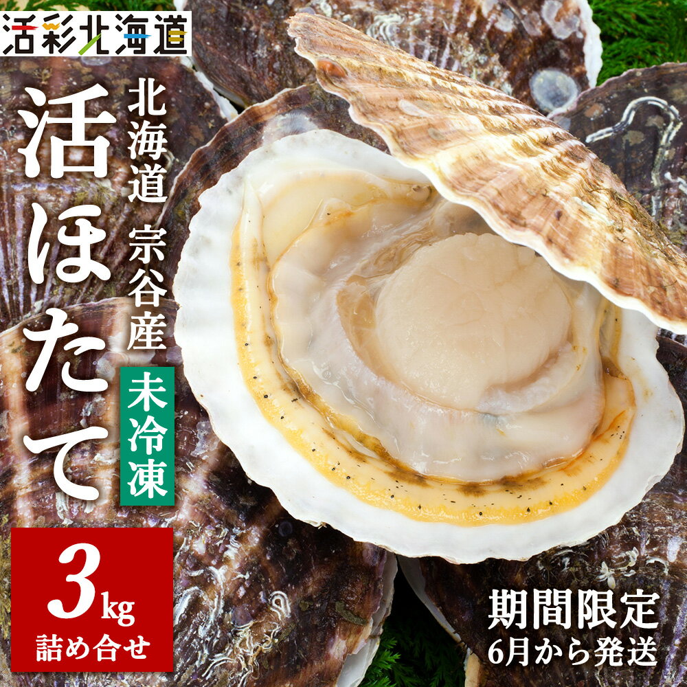 【ふるさと納税】【先行予約】《冷蔵便でお届け!》北海道宗谷産活ホタテ3kg前後詰合せセット 泳ぐ帆立参上!ほたて ホタテ 帆立 貝柱 貝 活 北海道ふるさと納税 稚内 ふるさと納税 北海道 【配送不可地域：離島・沖縄県・信越、北陸・東海・近畿・中国・四国・九州】