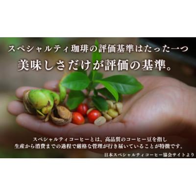 ふるさと納税 平群町 トップスペシャルティーコーヒー 厳選珈琲 豆200g×2袋 |  | 01