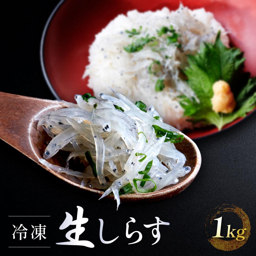 【ふるさと納税】【今だけ増量中！】冷凍生しらす1kg（100g×10）静岡県御前崎産 生しらす丼 10杯分 小分け 個包装 便利 大容量 徳用 海鮮丼 使いやすい食べきりサイズ どんぶり 刺身 おつまみ おかず | 魚 お魚 さかな 食品 人気 おすすめ 送料無料