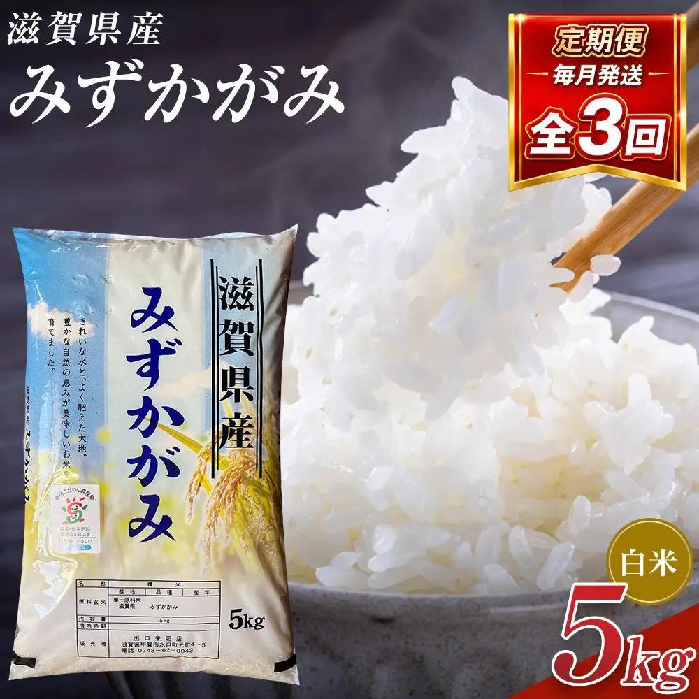 【令和8年産 新米 先行予約】近江米みずかがみ白米5kg×3回定期便※2026年9月～発送