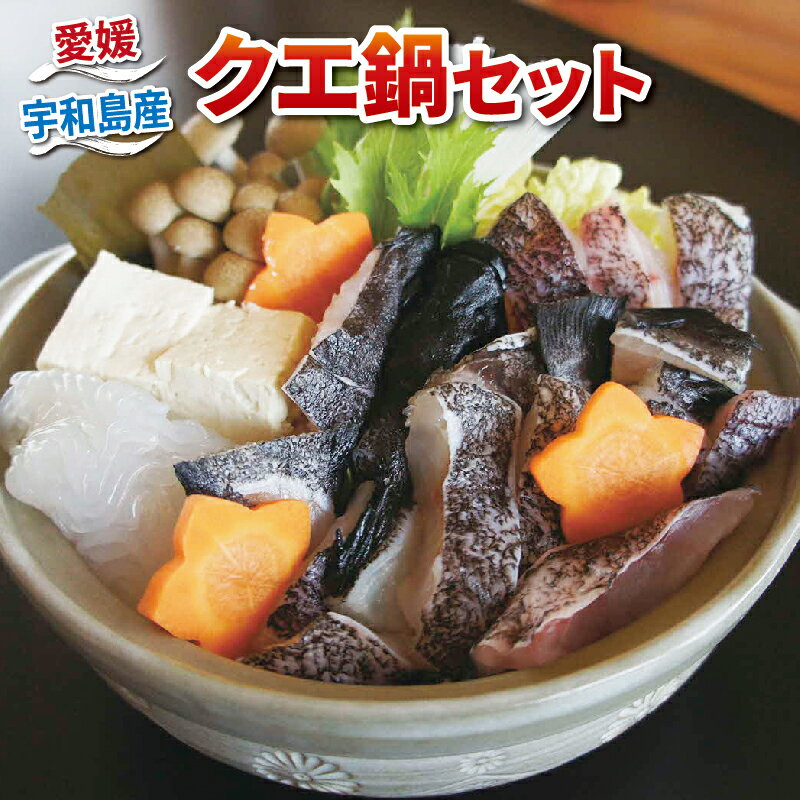 【ふるさと納税】 クエ鍋 宇和海産 養殖 本グエ鍋 セット エビス 本グエ 500g 身 200g あら 300g ポン酢 80ml だし 昆布 クエ 本クエ 鍋 出汁 冷凍 便利 人気 海の幸 海 魚 さかな 海鮮 鮮魚 水産 産地直送 国産 愛媛 宇和海 宇和島 D030-047004