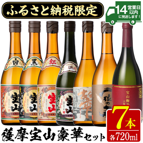 No.489 ふるさと納税限定！人気の焼酎！薩摩宝山豪華セット(7銘柄×各720ml 計7本) 焼酎 酒 宝山 薩摩芋 常温 セット 鹿児島 日置市【西酒造】