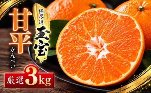 「玉宝ブランド」＜甘平＞3kg＜E64-44＞【1511358】 YWTY033