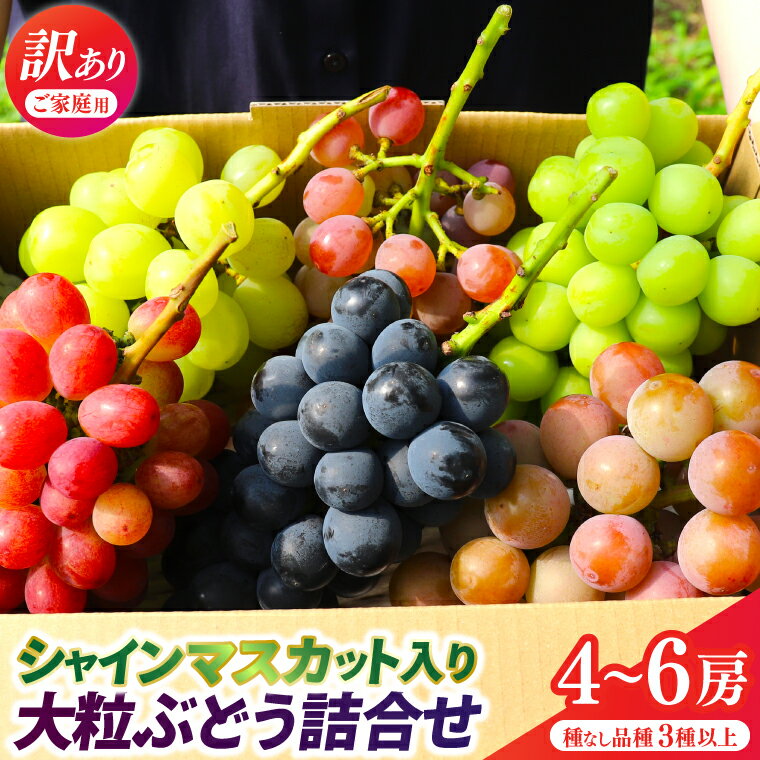 【ふるさと納税】＼訳あり ご家庭用／シャインマスカット入り 食べ比べ 大粒種ぶどうの詰合せ 4~6房 (約2.3kg) 種なし品種 3品種以上【農家さんおまかせ・直送】 (DM004)