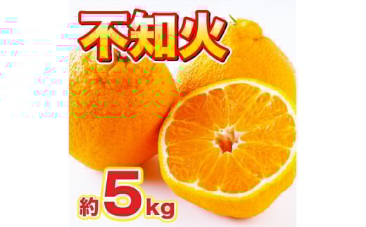 佐賀県産 不知火 約5kg 114-B1012