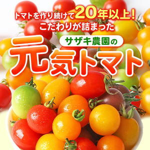 【 定期便 5回 】 ミニトマト 生産量 日本一 玉名市 !! カラフル ミニトマト 約 2kg （ ミックス ） サザキ農園     | 野菜 トマト ミニトマト 熊本県 玉名市 定期便