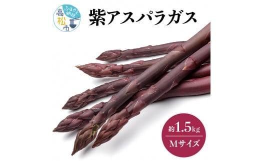 貴重で甘みが強い! 紫アスパラガス ( Mサイズ ) 約1.5kg【2026-6月上旬～2026-10月中旬配送】 372013_T006-249J