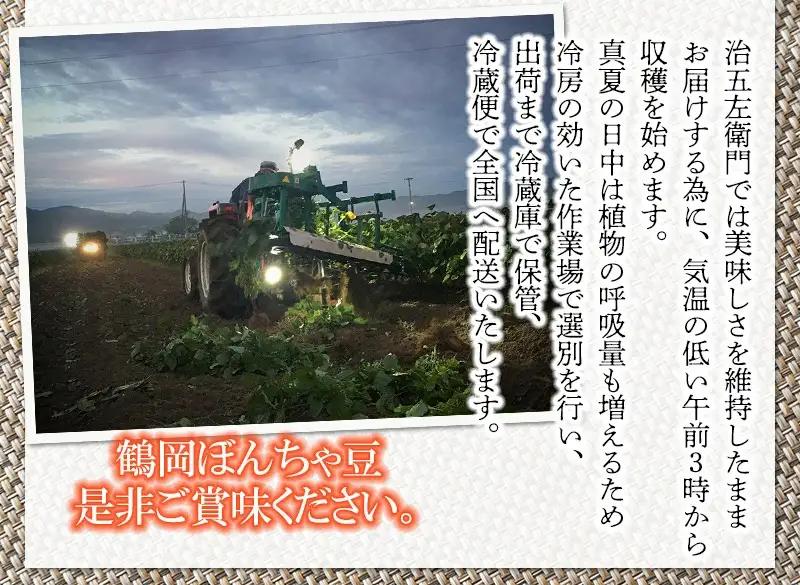 【令和9年産】枝豆 つるおか・ぼんちゃ豆 1.35kg(450g×3袋)  7月中旬～下旬 治五左衛門