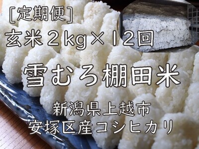 定期便 12ヶ月 雪むろ 棚田米 コシヒカリ 2kg 玄米 [定期便]毎月発送(計12回) こしひかり 米 お米 こめ おすすめ ユキノハコ 新潟 新潟県産 にいがた 上越 上越産