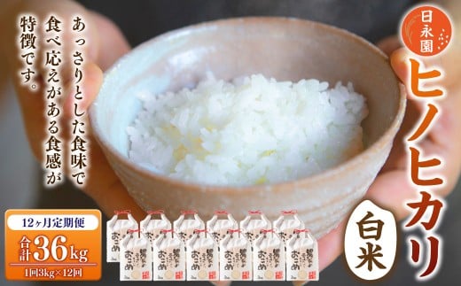 【定期便】日永園 ヒノヒカリ 白米3kg×12ヶ月 【2025年11月下旬より発送予定】 米 お米 ご飯 うきは市