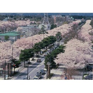 【返礼品なし】青森県十和田市　ふるさと応援寄附金