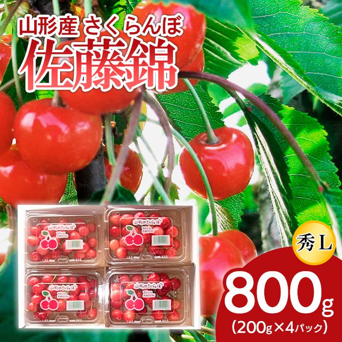山形産 さくらんぼ 特選 佐藤錦 L 360g(180g×2パック入) 【令和8年産先行予約】FS25-503