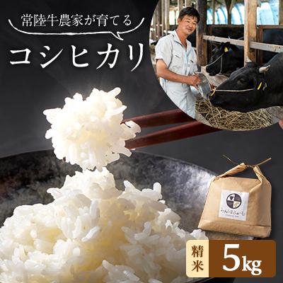 ふるさと納税 茨城県 令和7年産 茨城県産 常陸牛農家が育てた コシヒカリ 精米 5kg