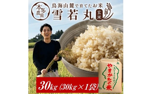 令和7年産【玄米】雪若丸　30kg(30kg×1袋) HO SH0050