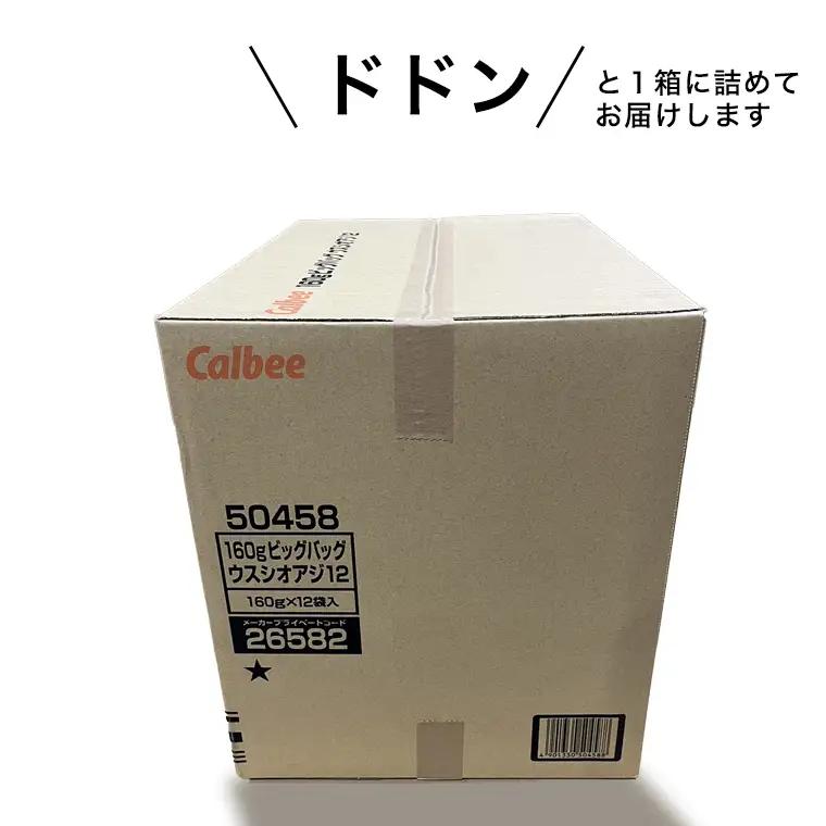 【ふるなびWEEK対象】 【最短3営業日！スピード発送】 カルビー ポテトチップス BIGBAG 160g うすしお味 1ケース ( 12袋 )