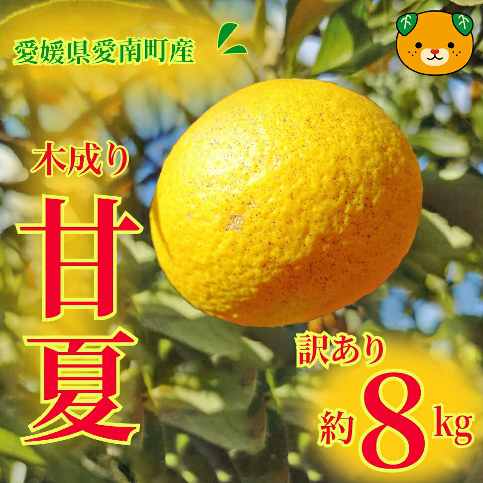 【ふるさと納税】 訳あり 甘夏 2kg~8kg 先行予約 柑橘 かんきつ 蜜柑 愛媛 みかん 温州 みかん あまなつ 国産 こくさん mikan 果物 くだもの フルーツ デザート ジュース 果実 果肉 果汁 甘い ジューシー おいしい 濃厚 産地 直送 産直 特産品 愛媛県 愛南町 愛南町青果市場