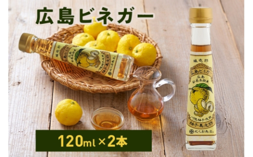 [No.5895-0731]広島ビネガー 2本 セット 川根柚子 柚子 酢 ビネガー 広島 安芸高田市
