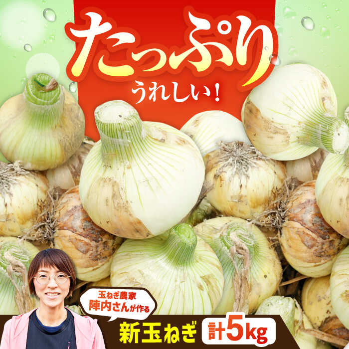 【ふるさと納税】【先行予約】【農家直送！】 玉葱農家のこだわり 新玉ねぎ 約5kg【玉葱農家 陣内ちひろ】 新たまねぎ 新玉葱 タマネギ 佐賀県 白石町 [IAO009]
