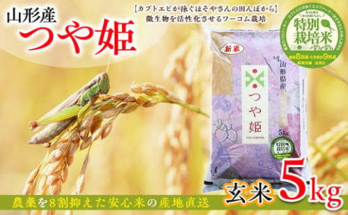 令和7年度産 山形産 「つや姫」5kg (玄米) 特別栽培米 8割減農薬・9割減化学肥料（当地比）【カブトエビが泳ぐほそやさんの田んぼから】微生物を活性化させるワーコム栽培 FZ25-126