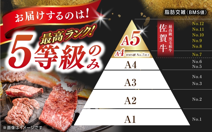 佐賀牛 牛肉 佐賀県産 黒毛和牛 焼肉 やきにく BBQ アウトドア A5