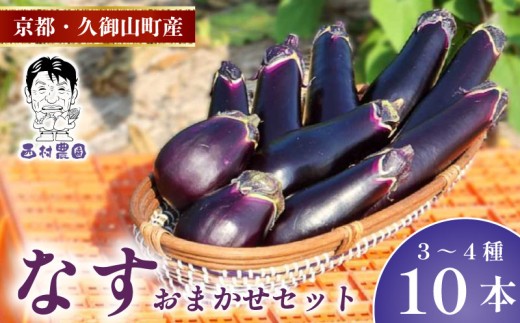 季節限定 京都 なす 3～4種類 おまかせ 10本 （水なす フルーツなす 千両なす ふわとろ長なす）10000円 1万円 茄子 ナス なすび 京都府 夏野菜 天ぷら 揚げ物 マーボー バーベキュー 焼き肉 夏 久御山町 レシピ 人気 野菜